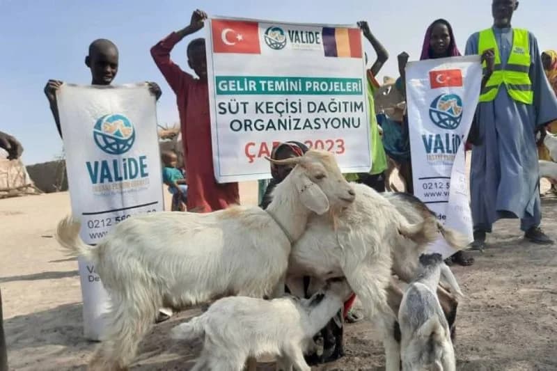 Süt Keçisi