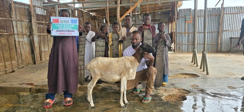 Somali’de Kurban Sevinci: Adak, Akika ve Şükür Kurbanları İhtiyaç Sahiplerine Ulaştı
